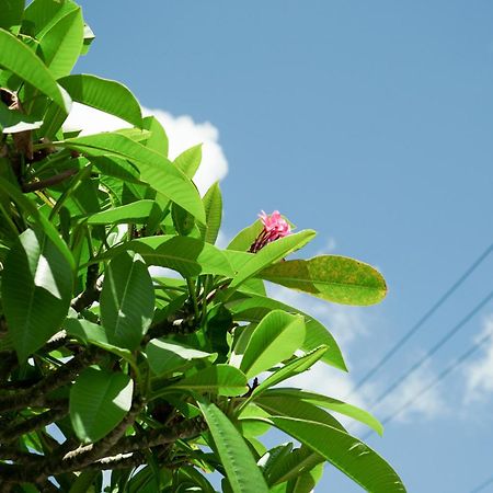 Sunset Beach House Okinawa Onna Exterior foto